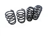 EMD Auto Audi TTS & TTRS (8S) 2015+ Linear Lowering Spring Kit