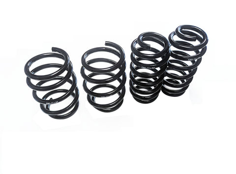 EMD Auto Audi TTS & TTRS (8S) 2015+ Linear Lowering Spring Kit